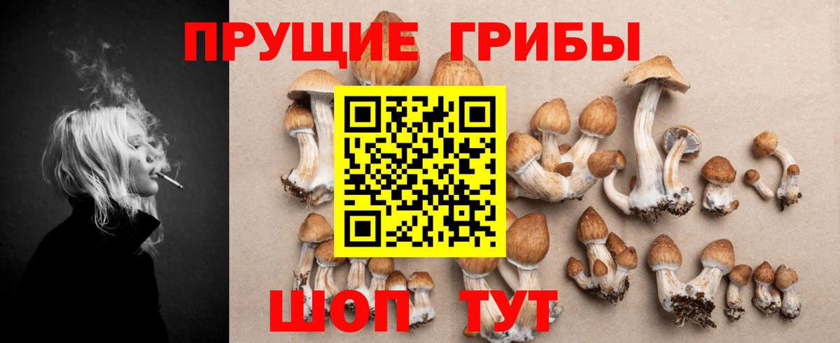 Псилоцибиновые грибы мицелий  Вход с VPN  Краснознаменск 